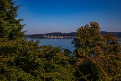 IMG_9411