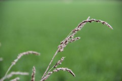 IMG_4693
