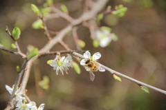 IMG_4717