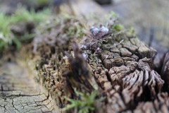 IMG_4829