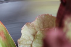 IMG_1473