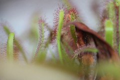 IMG_1475