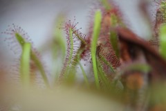 IMG_1476