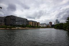 IMG_2981
