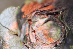 IMG_4872