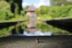 IMG_4608