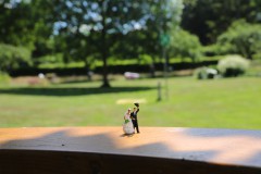 IMG_4616