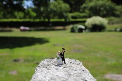 IMG_4620