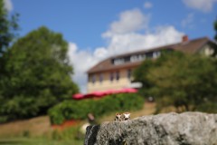 IMG_4633