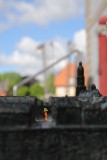 IMG_3950