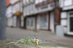 IMG_4055