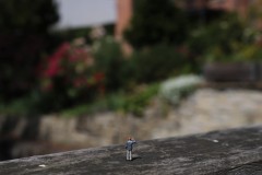 IMG_4062