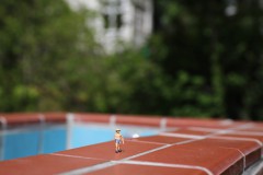 IMG_4065