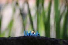 IMG_4087