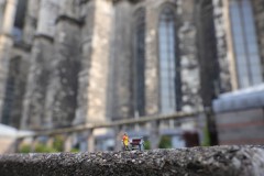 IMG_4439