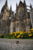 IMG_4449