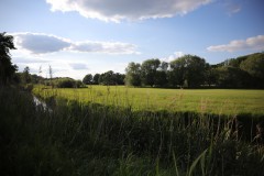 IMG_4380