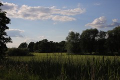 IMG_4398