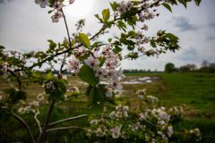 IMG_5841
