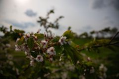 IMG_5844