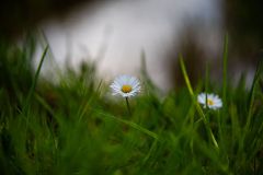 IMG_5845