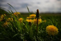 IMG_5847