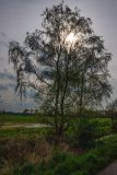 IMG_5855