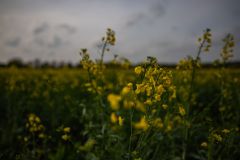 IMG_5857