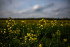 IMG_5858