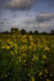 IMG_5861
