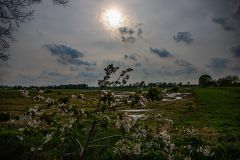 IMG_5882