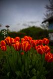 IMG_5884