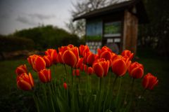 IMG_5885