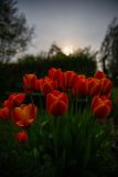 IMG_5886