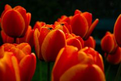 IMG_5890
