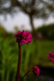 IMG_5894
