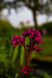 IMG_5895