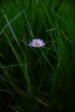 IMG_5916
