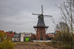 IMG_5782