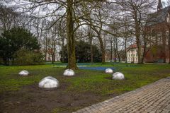 IMG_5802