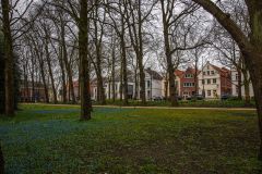 IMG_5804