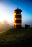 IMG_5653