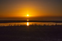 IMG_5768