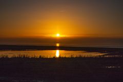 IMG_5769