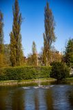 IMG_1237