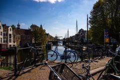 IMG_1271