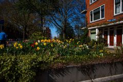 IMG_1274