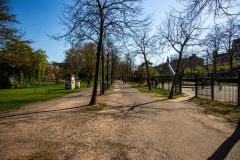 IMG_1288