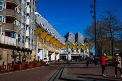 IMG_1302