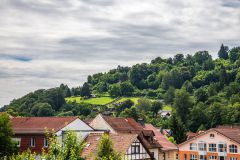 IMG_6356